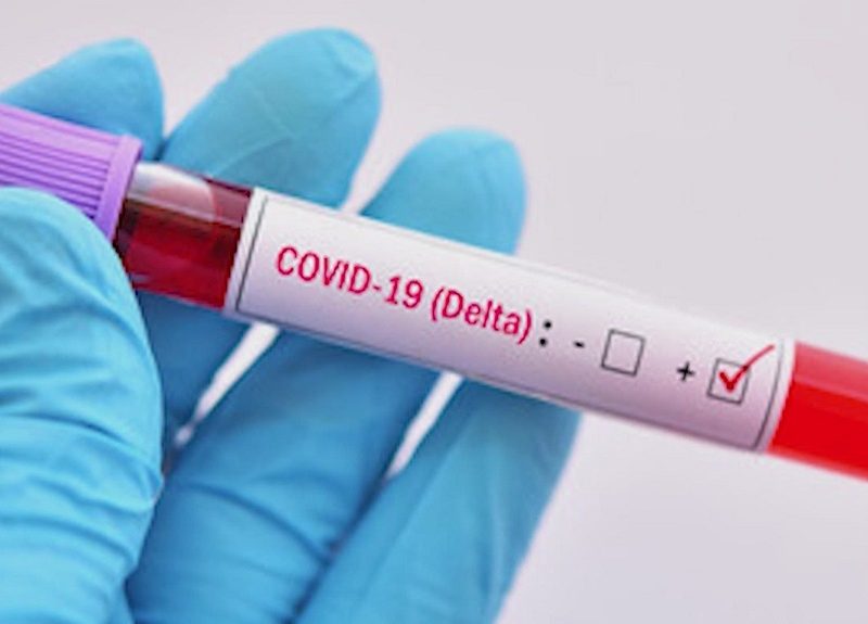 Ola récord de variante delta golpea fuertemente a los niños de EE. UU.