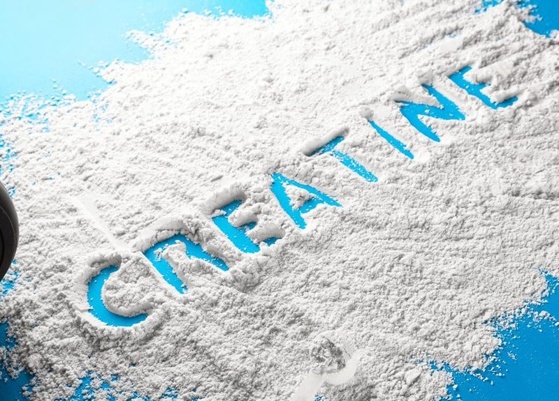 Qué funciones cumple la creatina en nuestro organismo